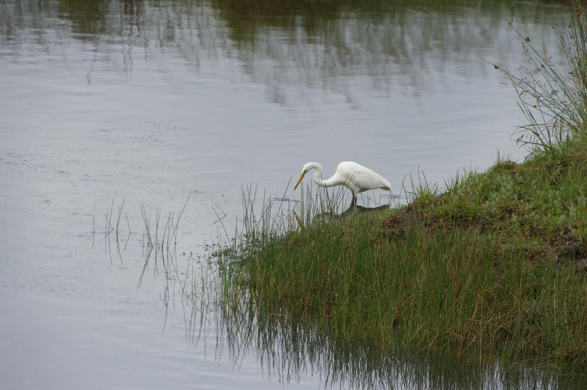 Pelican Point Sanctuary เซนต์เฮเลนส์ ภายนอก รูปภาพ