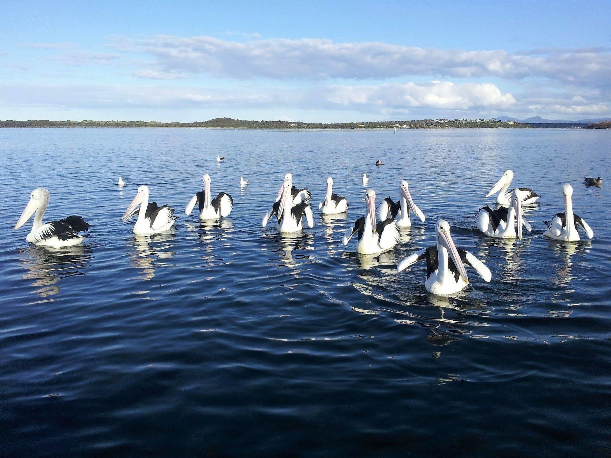 Pelican Point Sanctuary เซนต์เฮเลนส์ ภายนอก รูปภาพ